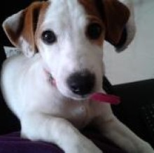 Wendy luana's avatar
