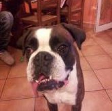 RockyBallerini's avatar