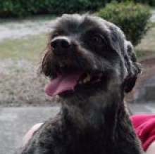 pepebenedetti's avatar