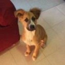 Macchia Ripanti's avatar