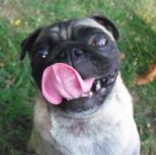 Wendy Corticelli's avatar