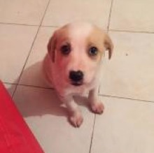 Avatar de Lyla Ruffa