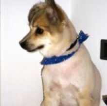 atiati's avatar