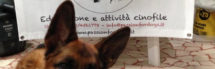 Cover di PassionforDogs