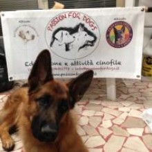 Immagine del profilo di PassionforDogs