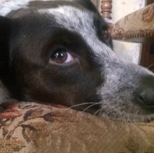 Larissa de Santa Fe's avatar