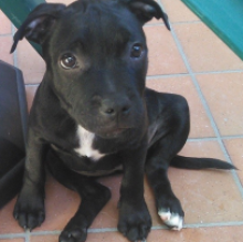 Maya Bonaccorso's avatar