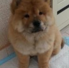 simba2014's avatar