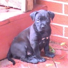 Immagine del profilo di Jeff Gray