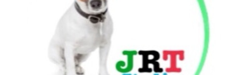 JACKRUSSELLTERRIER ITALIA's couverture