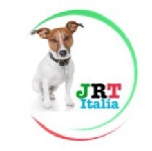 JACKRUSSELLTERRIER ITALIA's avatar
