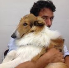 Italiancollie's avatar