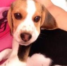 Wendy Bavaro's avatar