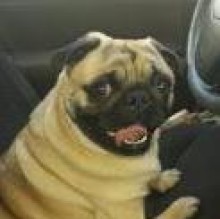 Rocco Fadda's avatar