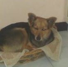 Avatar de Luna iossa