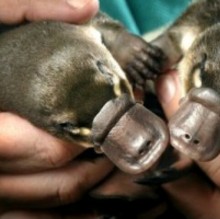 Aurora Reitano's avatar