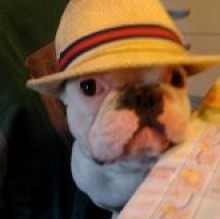 Paco Allegretti's avatar