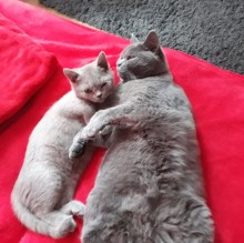 Avatar de Alina Wassermann