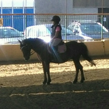 Immagine del profilo di Angelica Monte