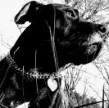 Avatar de cloe borghi