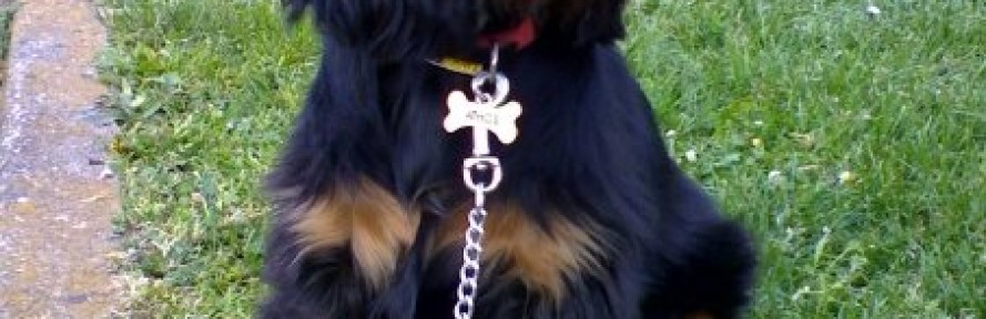 Athos's couverture