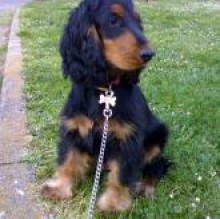Athos's avatar
