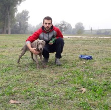 Avatar de Gabriele Andreatta