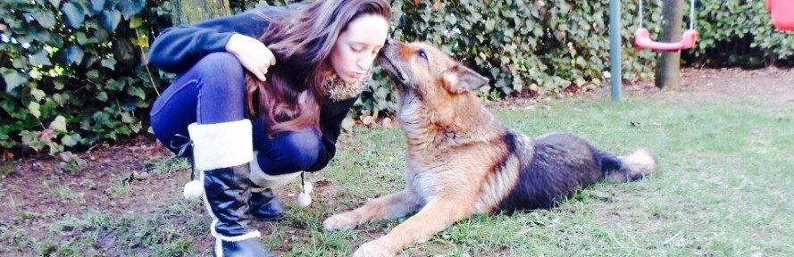 Servizi  Per animali domestici's cover