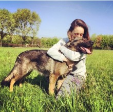 Servizi  Per animali domestici's avatar