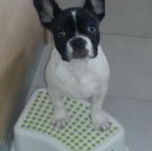 selene's avatar