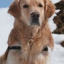 Max Insam's avatar