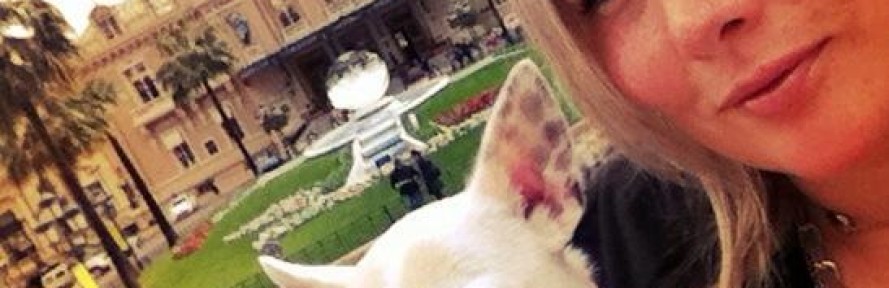 PetStarMonteCarlo's cover