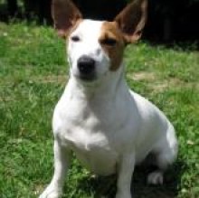 CloeFrida's avatar