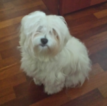 Daisy Desiderato's avatar