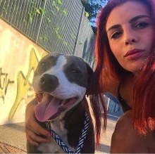 Vanessa Pecci's avatar