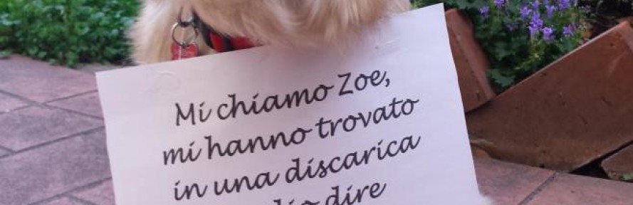 Cover di Zoe Melcher
