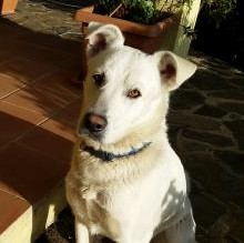 Ares2013's Avatar