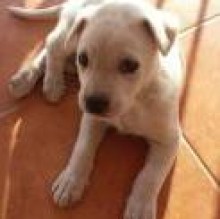 Avatar de Rum22