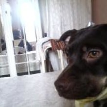 Avatar de mery89