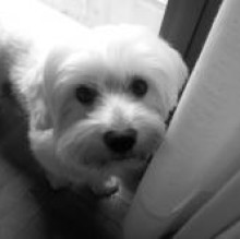 Avatar de Rudy2010