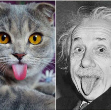 INOQUOS ENVASES's avatar