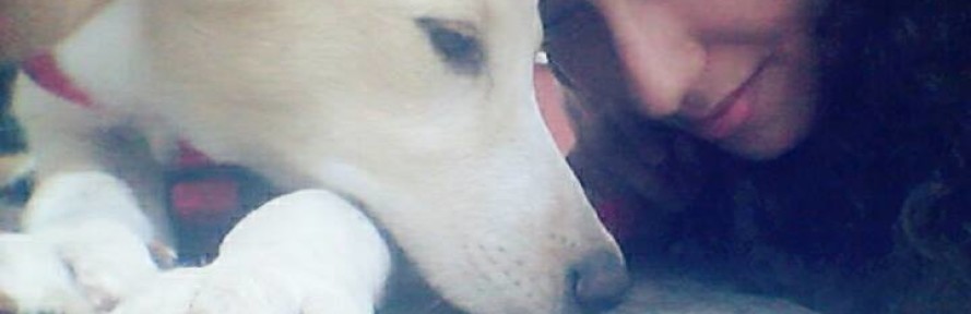 marleydog's couverture