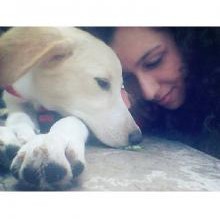 marleydog's avatar