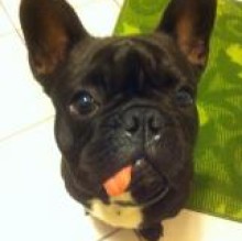 PedroPe's avatar