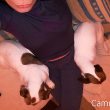 Patka Zelinska's avatar