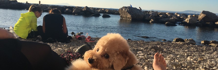 Valeria D'Auria's cover