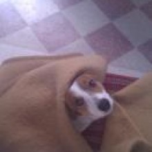 Avatar de pieroxx