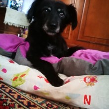 Immagine del profilo di PrincessLizzy