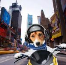DylanJrt's avatar