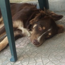 Rita Franzese's Avatar